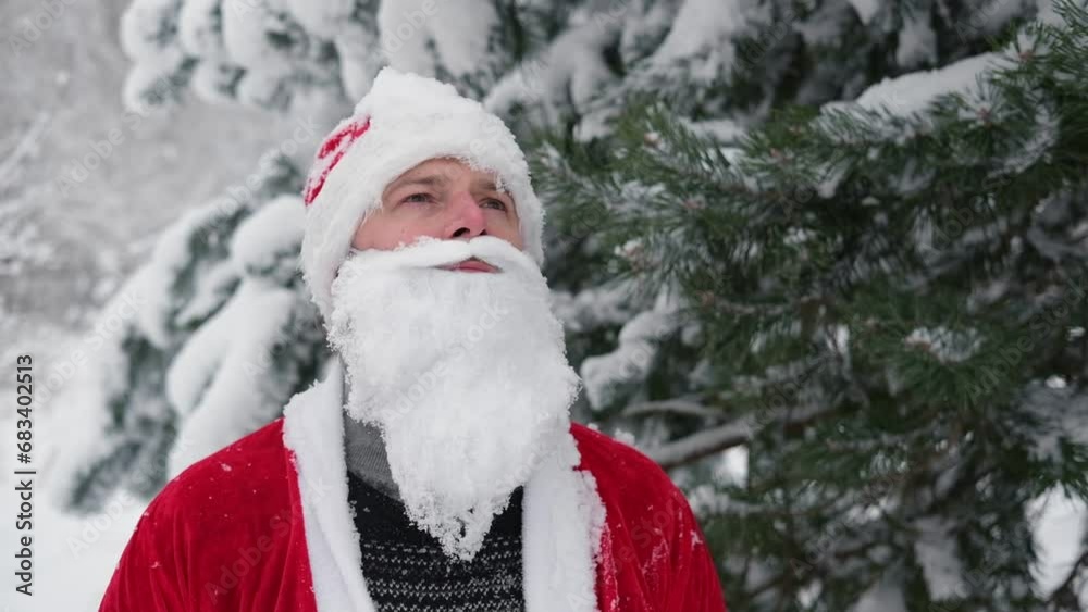 Portrait of Santa Claus with White Beard. Father Christmas Walking at Winter Snowy Forest. Thoughtful Santa Delivering Presents to Congratulate People. Snow Covered Trees Background. New Year Holidays Portrait of Santa Claus with White Beard. Father Christmas Walking at Winter Snowy Forest. Thoughtful Santa Delivering Presents to Congratulate People. Snow Covered Trees Background. New Year Holidays
