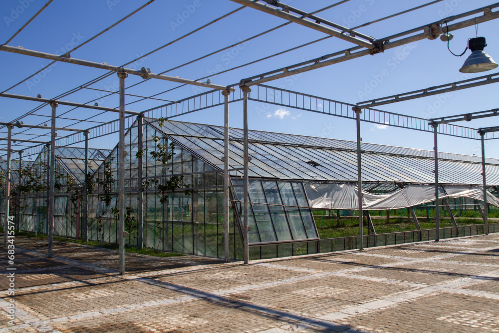 Fototapeta premium View from the outside of the greenhouses. Bright sunny day. greenery