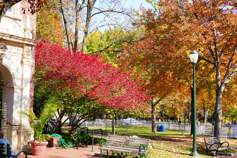 Naklejka premium University of Pennsylvania Fall colorful foliage autumn landscape