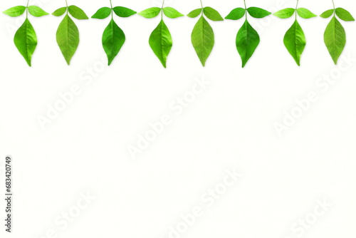 garland of bael or bilva (wood apple)leaves,also known in india toran or ful haar for indian religious festival,marriage,weeding decoration,invitation,diwali,new year,dasara,worship of hindu god haar