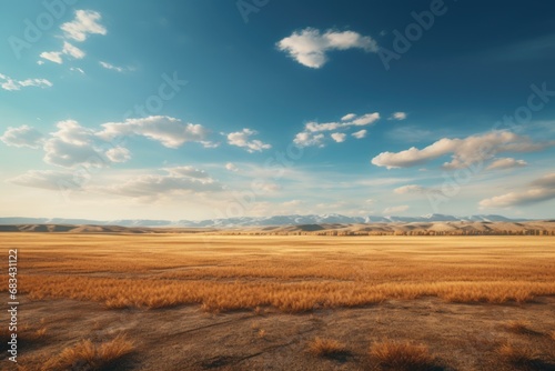 A serene and spacious open field with a few fluffy clouds in the sky.