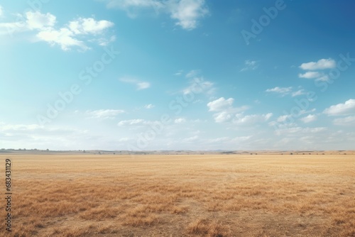 A picture of a field covered in dry grass with a clear blue sky in the background. This image can be used to depict the beauty of nature and the changing seasons photo