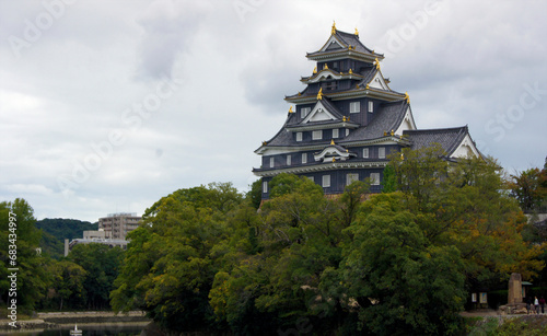 Okayama Castle, Honshu Island, Japan photo