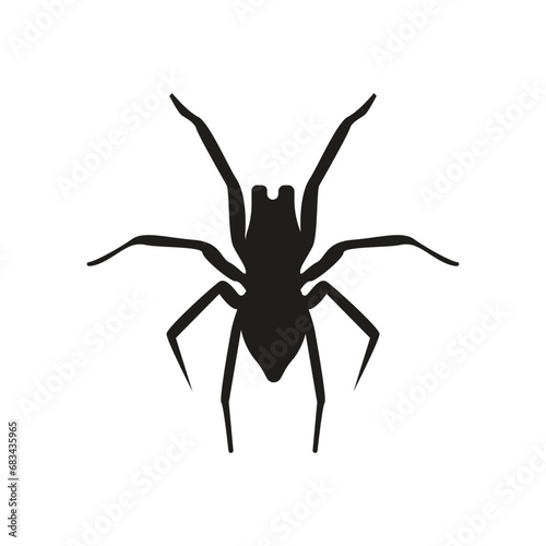 spider logo icon