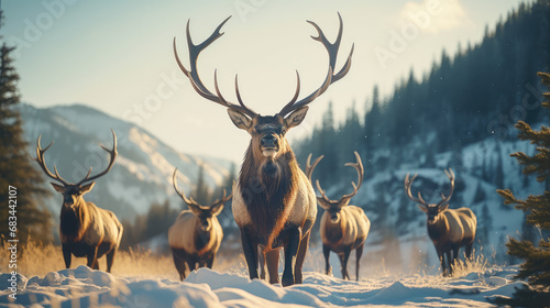 Elk Made with Generative AI Technology photo