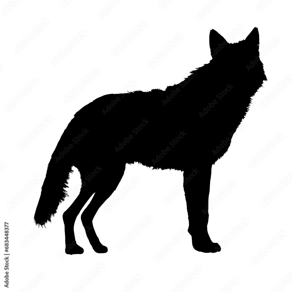  silhouette of a wolf