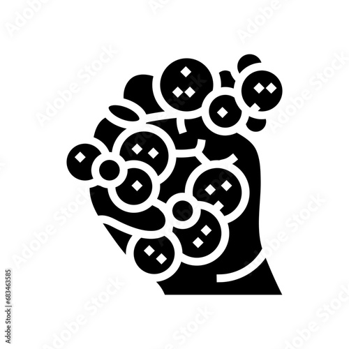 squeeze toy fidget glyph icon vector. squeeze toy fidget sign. isolated symbol illustration