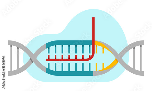 CRISPR cas9 - research of genetic engineering
