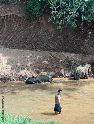 Elephant Sanctuary (ID: 683469120)