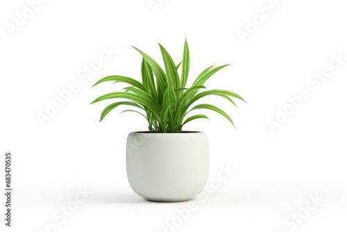A picture of a plant in a white pot placed on a white surface.