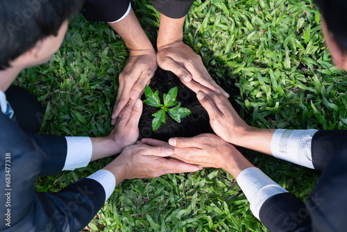 Top view group of businesspeople grow and nurture plant together on fertilized soil concept of eco company committed to CSR corporate social responsible principle, reducing CO2 emission. Gyre #683477338