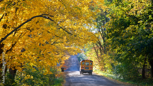 School bus on a country road with autumn leaf colour