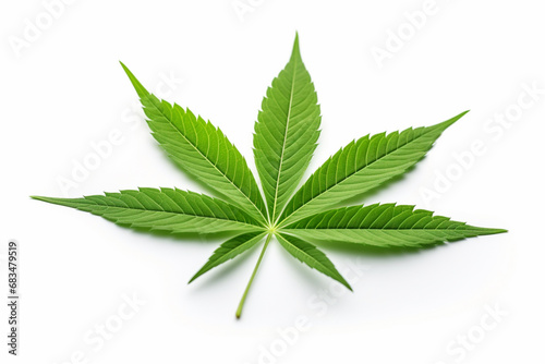 Cannabis leaves on white background, Generative Ai