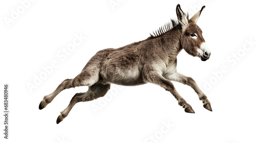 Side View Jumping Donkey. Isolated on Transparent background. photo