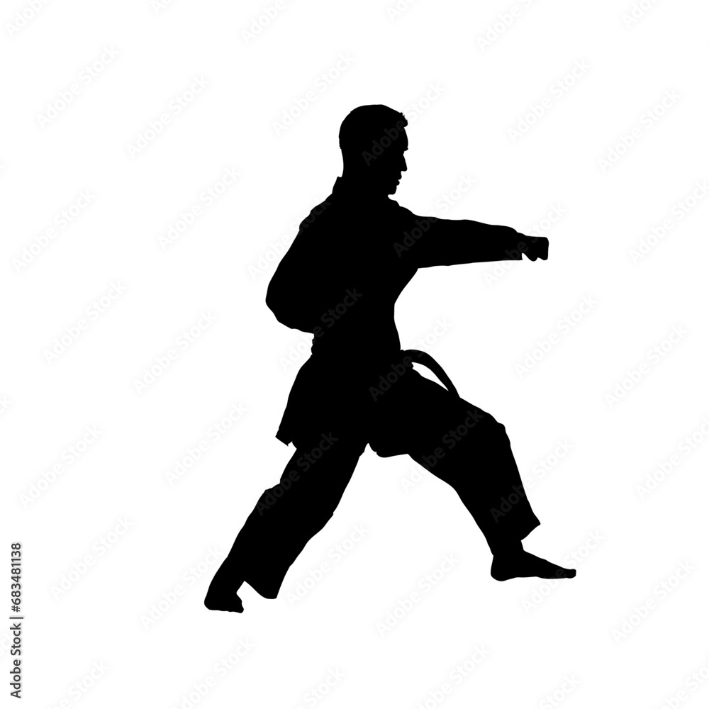 silhouette of karateka, karate fighter - vector illustration