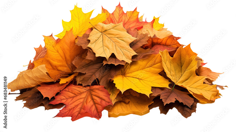 Pile of autumn leaves. Isolated on Transparent background.