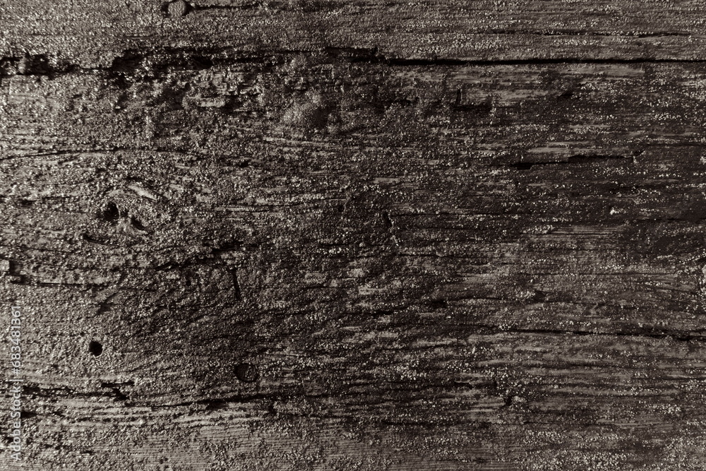 Obraz premium wet old cracked board 