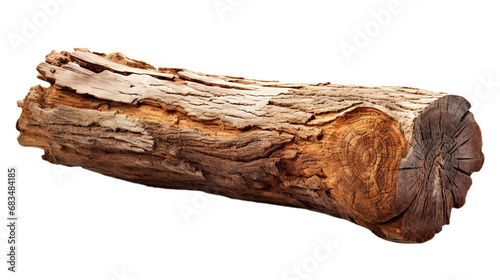 Tree trunk. Isolated on Transparent background.