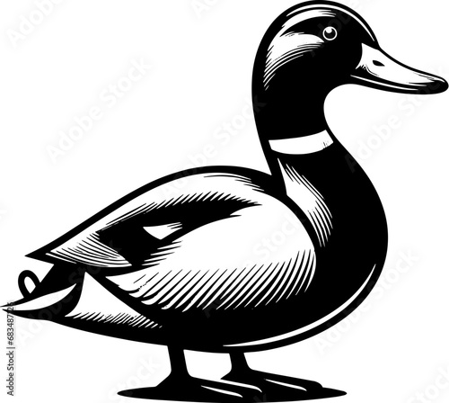 Mallard Duck Icon 4