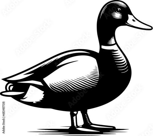 Mallard Duck Icon 6