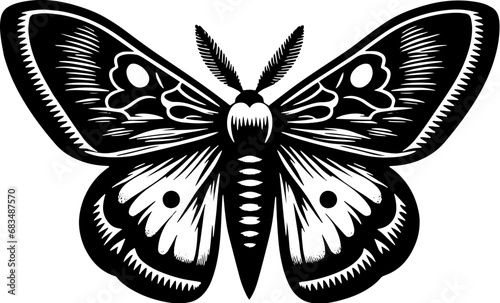 Madora Moth icon 7