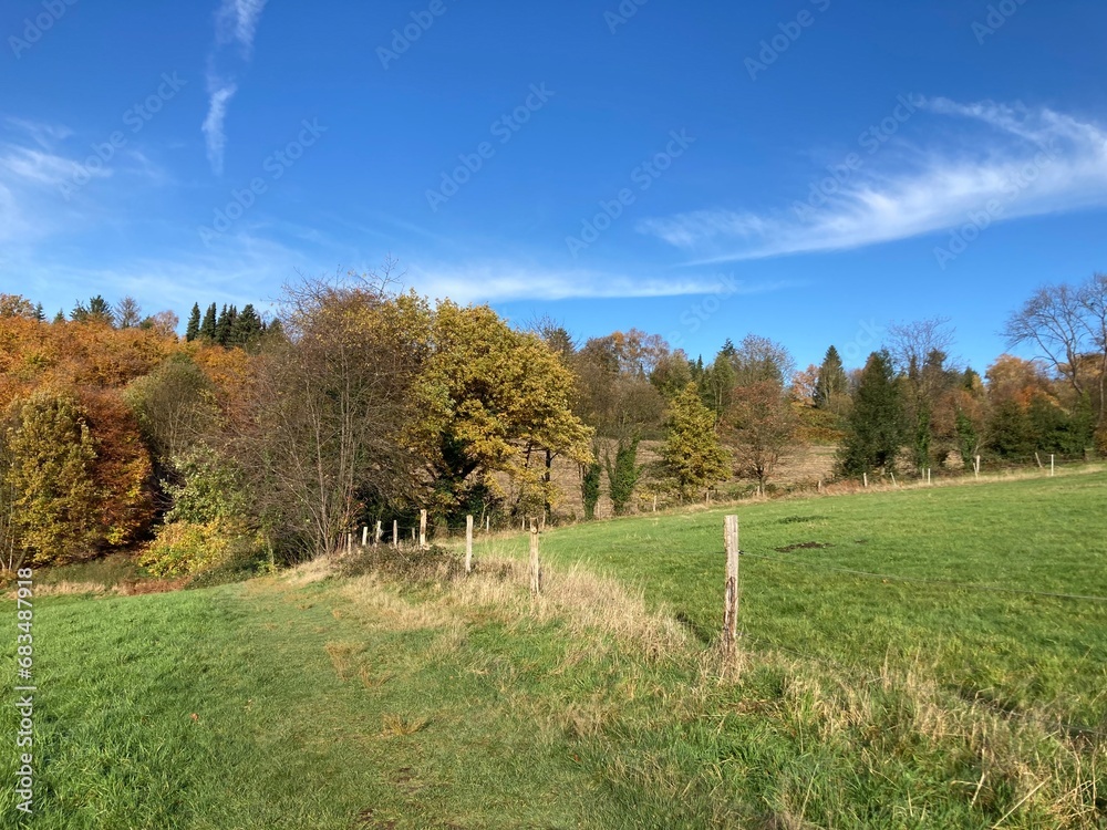 Landschaft im Herbst zwischen Wald und Wiese mit Weidezaun und Feldweg