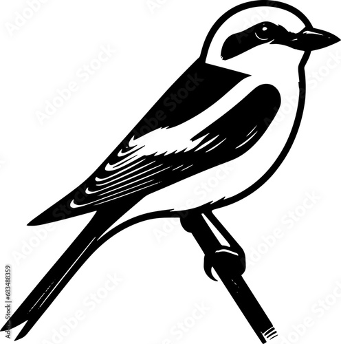 Loggerhead Shrike icon 6