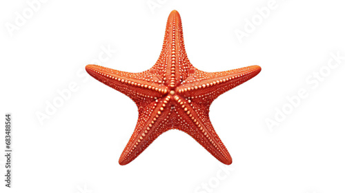 Starfish. Isolated on Transparent background.