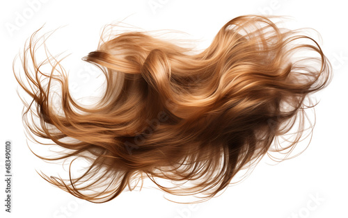 Hair on Clear Background