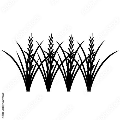 Fototapeta Naklejka Na Ścianę i Meble -  Rice Plant Agriculture Vector Design. Rice Plant Design Element. Rice Plant Single Icon. Rice Plant Illustration Svg File
