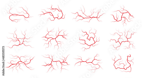 Human veins. Colorful blood vessels with flowing blood, arterial and venous system of human body, healthy circulatory system. Vector illustration of human health anatomy photo