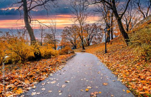 Evening and golden autumn patterns in central public park of Riga - the capit...