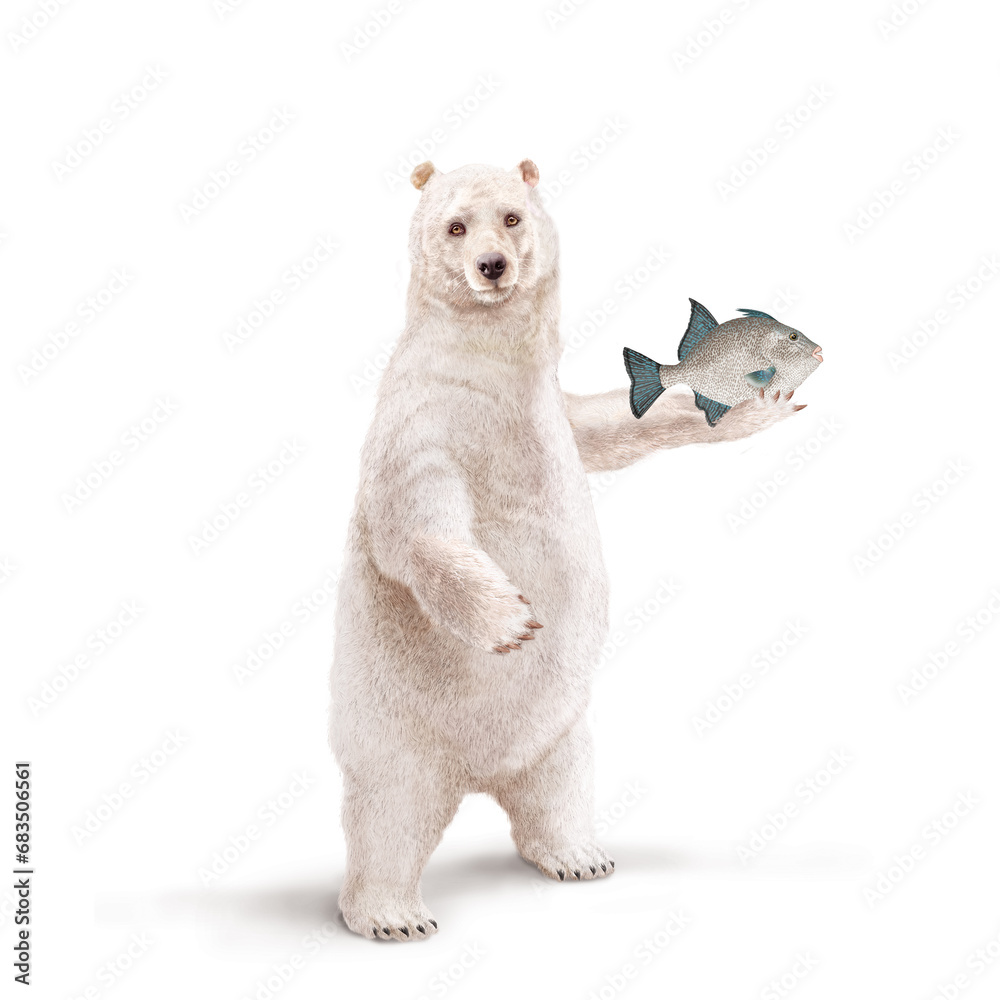 illustratipolaire, blanc, ours, drôle, fond blanc, pêcher, poisson, baliste capri, mammifère, joli, isolé,
illustratipolaire, blanc, ours, drôle, fond blanc, pêcher, poisson, baliste capri, mammifère, joli, isolé,