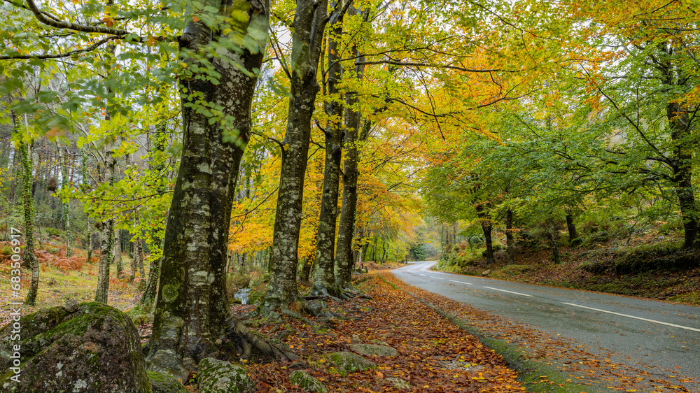 Fototapeta premium Autumn landscape at Geres National Park