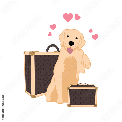 Pet Yellow Lab Packed And Ready For Adoption Or Fostering, Choosing A New Pet