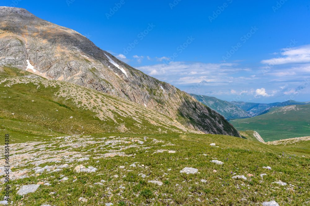 Scenic panoramic view of idyllic rolling hills landscape with blooming meadows and snowcapped alpine mountain peaks in the background on a beautiful sunny day.