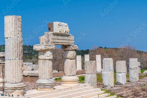 canakkale gulpınar apollon smintheion temple columns and mice photo