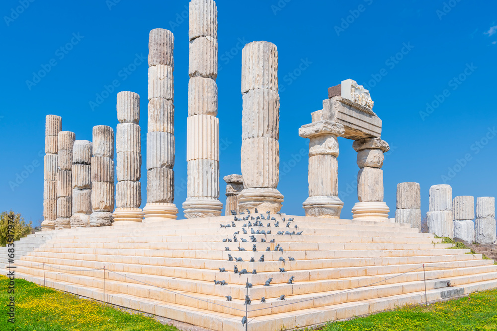 canakkale gulpınar apollon smintheion temple columns and mice