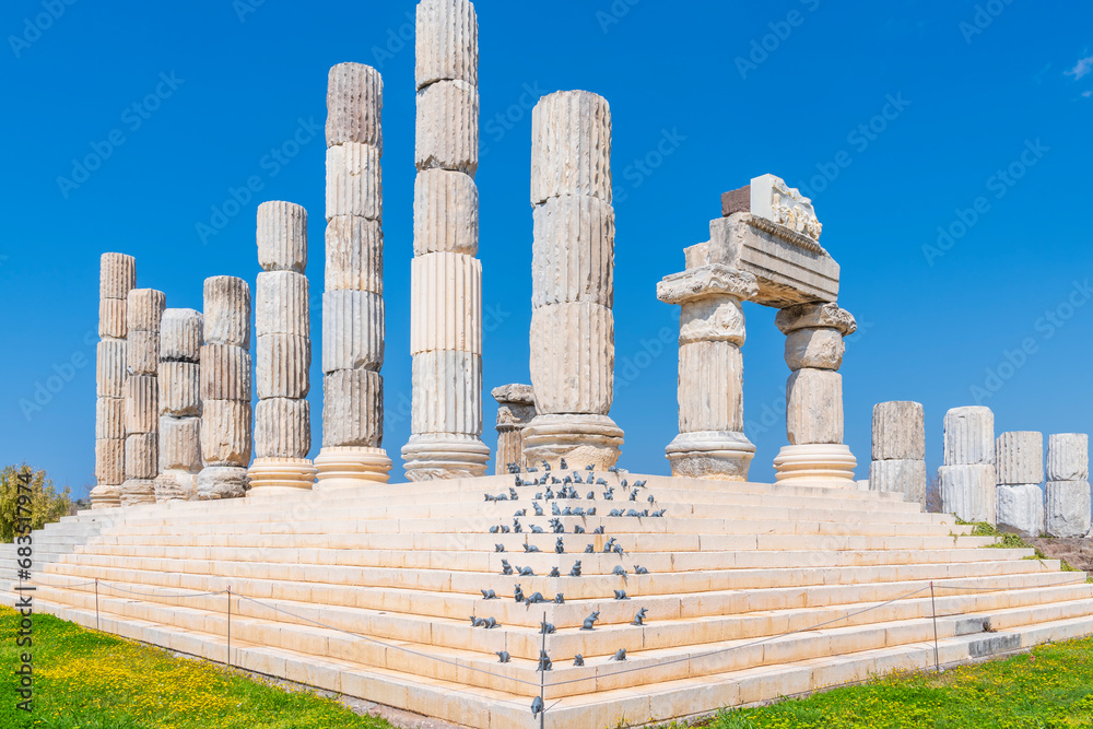 canakkale gulpınar apollon smintheion temple columns and mice canakkale gulpınar apollon smintheion temple columns and mice