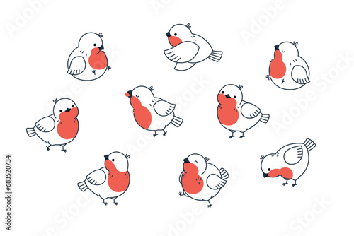 Vector set of illustrations of cute winter birds bullfinches isolated on white background