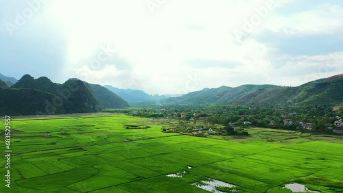 Wallpaper Mural Drone, landscape or nature with a field of green grass outdoor in the countryside for sustainability. Farm, agriculture and earth with plant growth in summer or spring in an eco friendly environment Torontodigital.ca