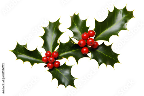 A sprig, three leaves, of green holly and red berries for Christmas decoration isolated against a transparent background.