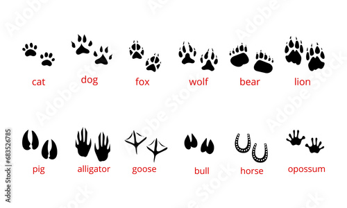 traces, paws and legs of an animal. paws of animals containing traces of fox, bear, grizzly, chicken, horse, cat, dog, tiger, cow, pig and rabbit depicted on white background eps10