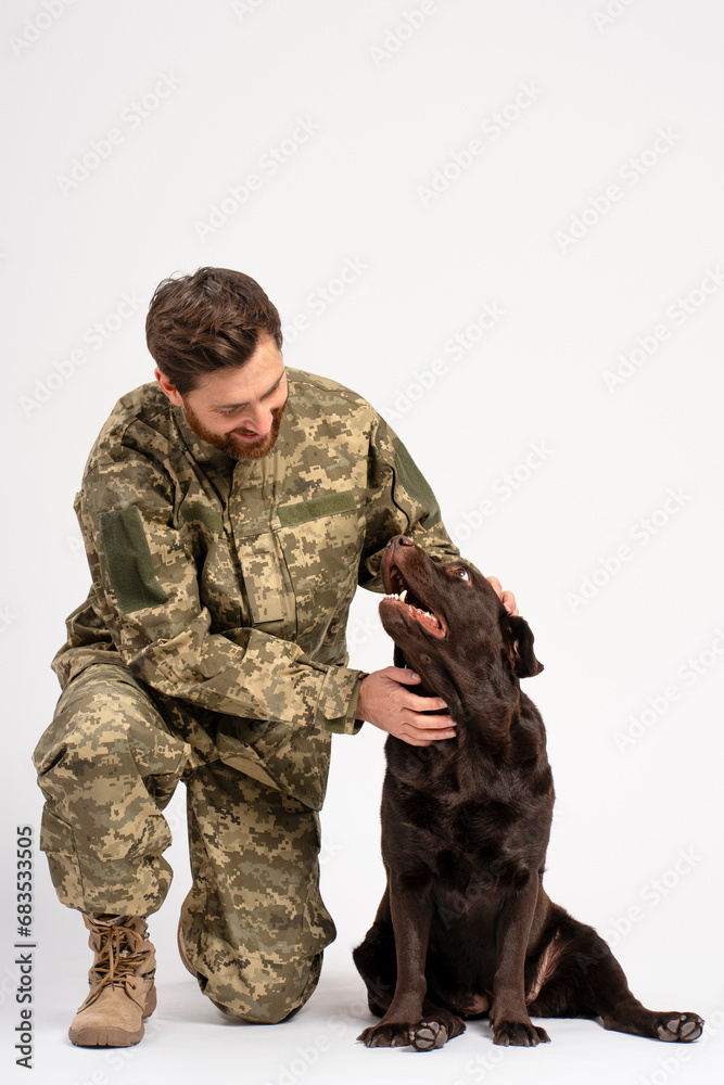 Handsome smiling man, soldier wearing military camouflage uniform training and strokes Labrador dog isolated on white background. Love, care, friendship concept Handsome smiling man, soldier wearing military camouflage uniform training and strokes Labrador dog isolated on white background. Love, care, friendship concept