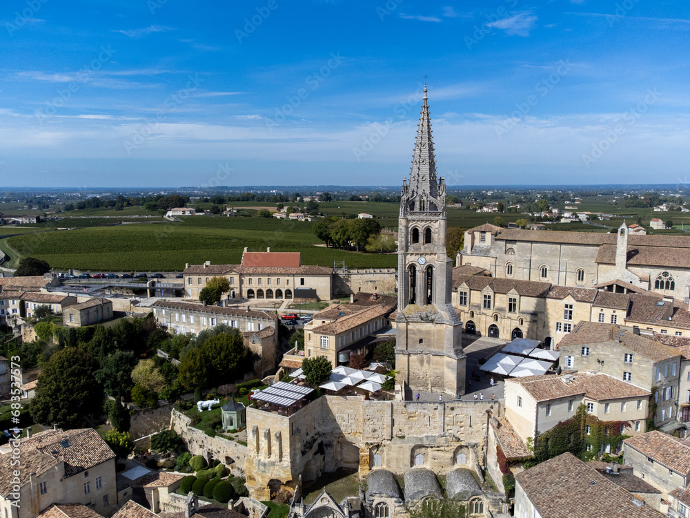 Aerial views of green vineyards, old houses and streets of medieval town St. Emilion, production of red Bordeaux wine on cru class vineyards in Saint-Emilion wine making region, France, Bordeaux