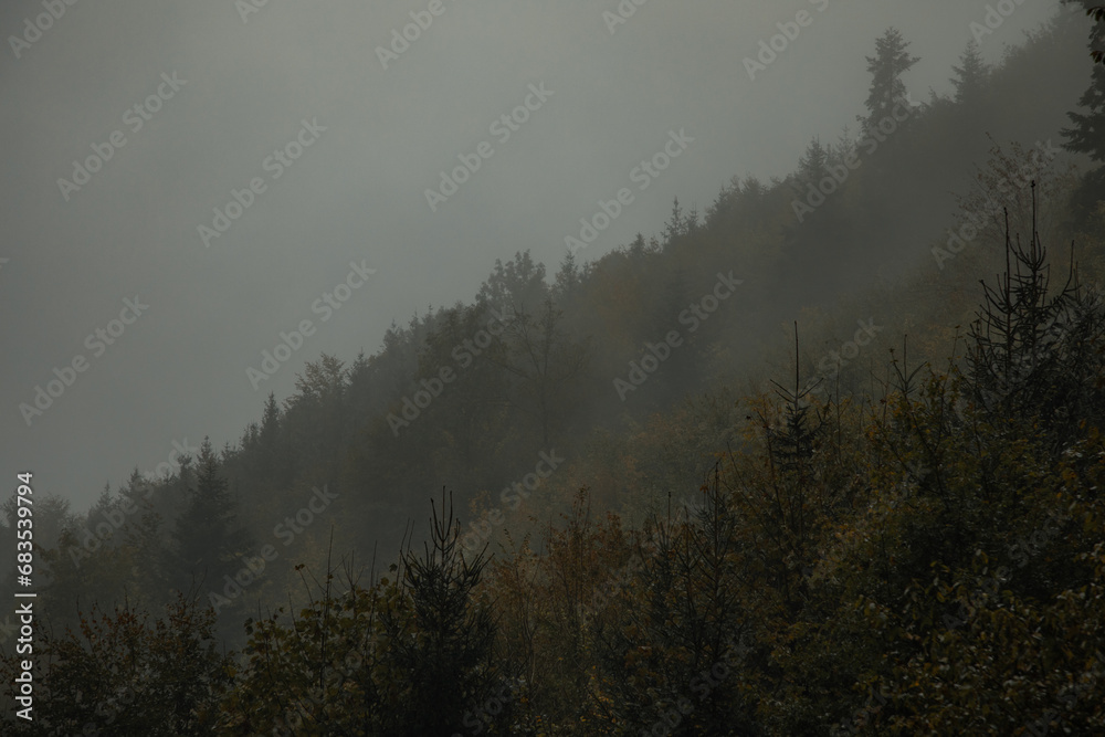 Autumn Rainy Forests, Slovakia, Europe