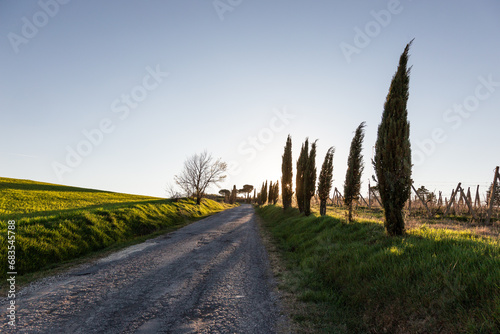 Country road at sunset in Tuscany, with cypresses