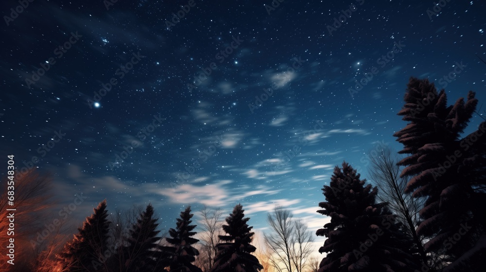 Gazing upward, one is enveloped by a night sky of scattered stars, with ethereal clouds drifting over snow-laden conifers, a scene both still and dynamic.