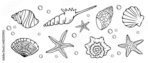 A set of sketches, doodles of seashells, starfish. Vector graphics.