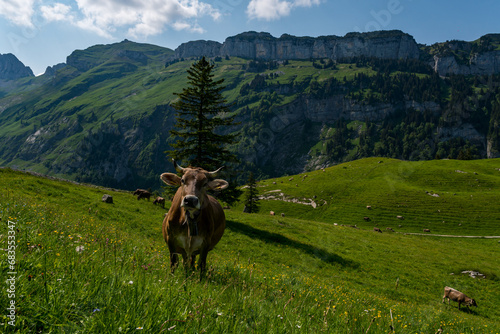 Wonderful hike in the Alpstein mountains in Appenzellerland Switzerland